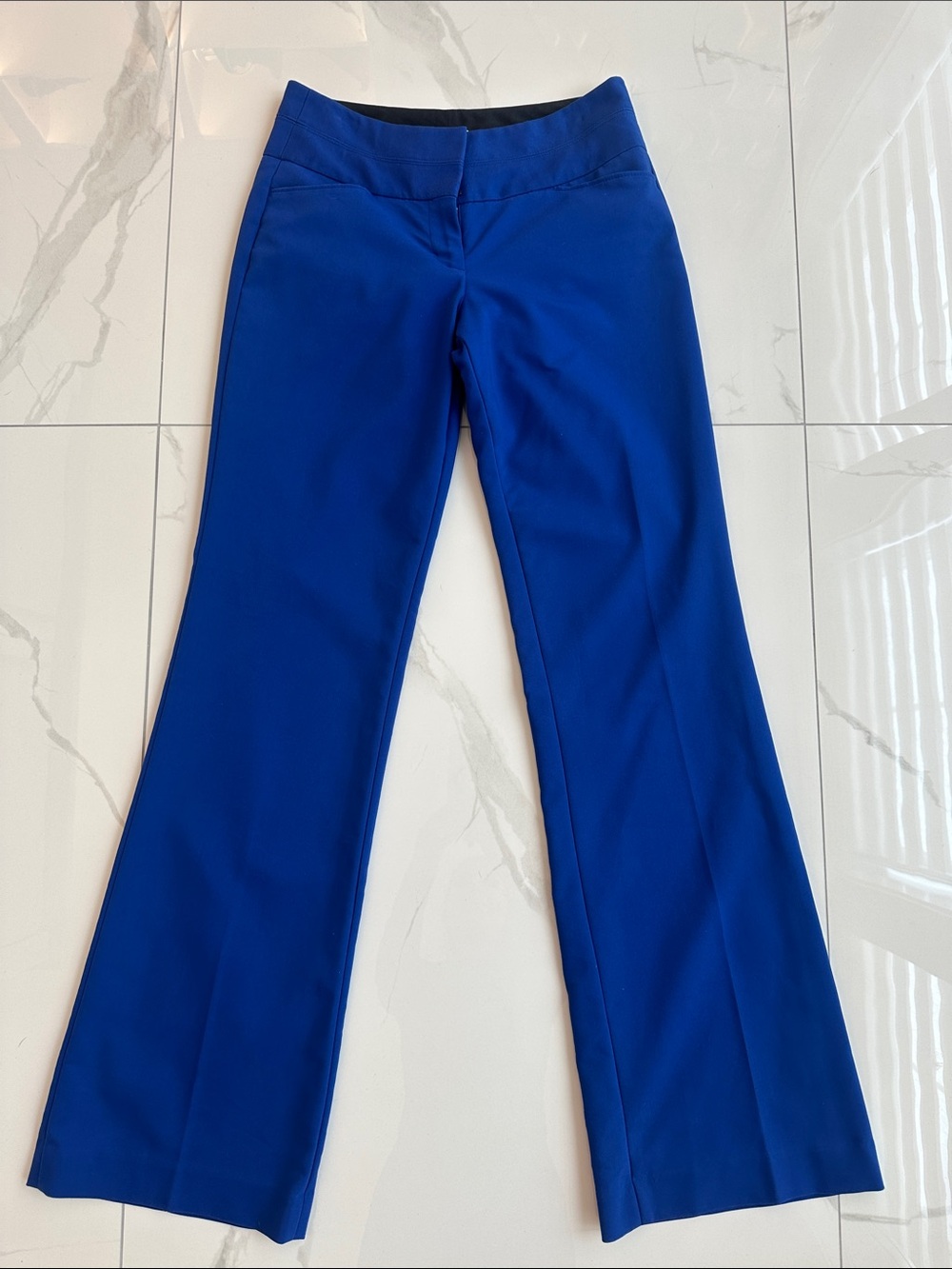 Express Editor Pants in Royal Blue